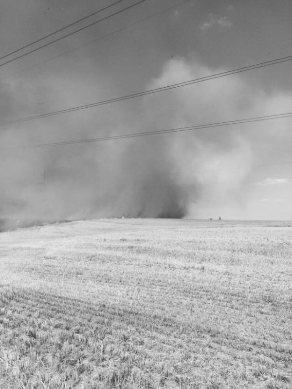 Поблизу Луцька спалахнула масштабна пожежа. ФОТО