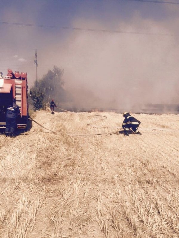Поблизу Луцька спалахнула масштабна пожежа. ФОТО