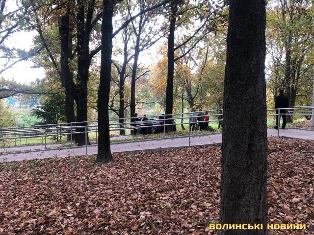 У Луцьку на ЛПЗ водій під наркотиками заїхав у сквер. ФОТО