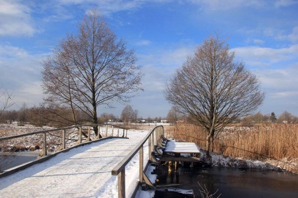 Красиві фото зими у волинському Поліссі 