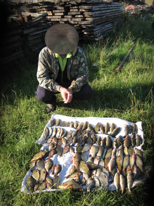 За добу браконьєри на Волині завдали шкоди на 30 тисяч гривень