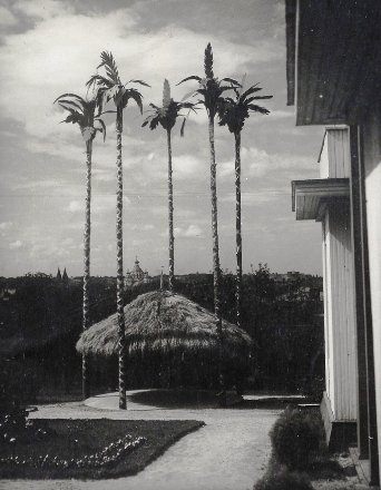 Субтропічний курорт і згаслий вулкан: 15 несподіваних історичних фото Волині