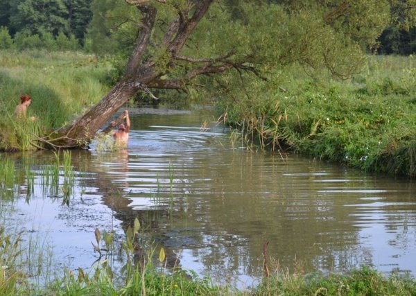 На дебютному «Франко-фесті» зібрались десятки тисяч людей та три луцькі гурти. ФОТО