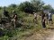 Друзі закопали на смітнику: на Тернопільщині знайшли рештки підлітка, який зник 17 років тому