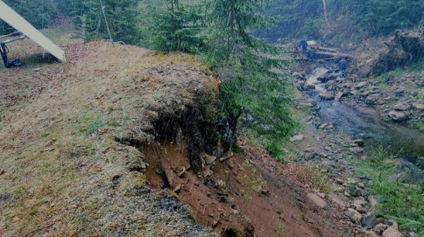 Українська прем’єра: у Луцьку покажуть стрічку «Жива»
