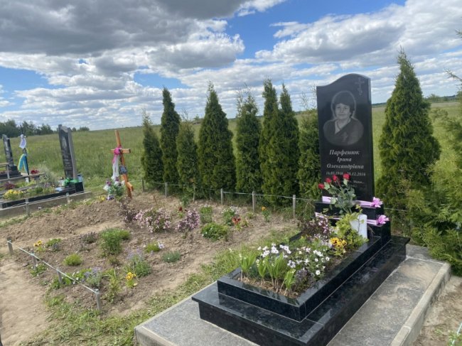 І слідів немає: у Луцькому районі невідомі вкрали з кладовища туї та вази