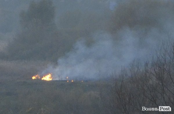 У Луцьку горить Гнідавське болото. ФОТО. ОНОВЛЕНО