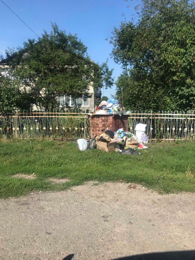 Нестерпний сморід у місті: в Устилузі комунальники два тижні не вивозять сміття. ФОТО