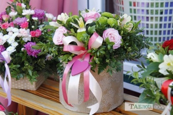 Квіти, які до вподоби лучанам