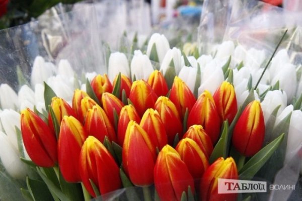 Квіти, які до вподоби лучанам