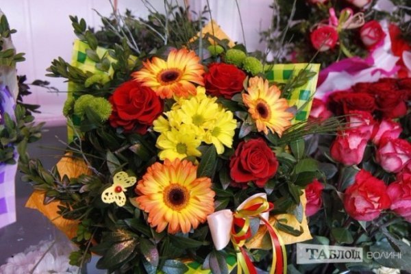 Квіти, які до вподоби лучанам