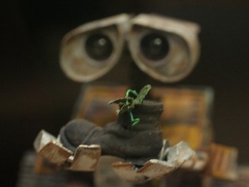 Волинь - у трійці найчистіших областей