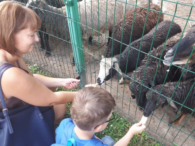 У Луцькому зоопарку зібрали урожай овочів, які садили діти. ФОТО