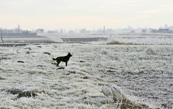Волинь в льодяному тумані. ФОТО