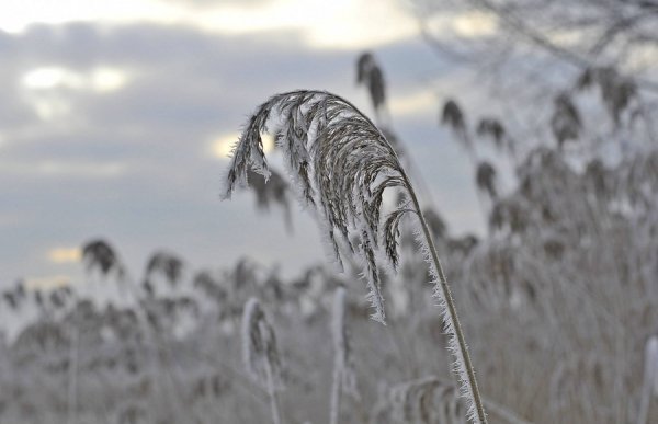 Волинь в льодяному тумані. ФОТО