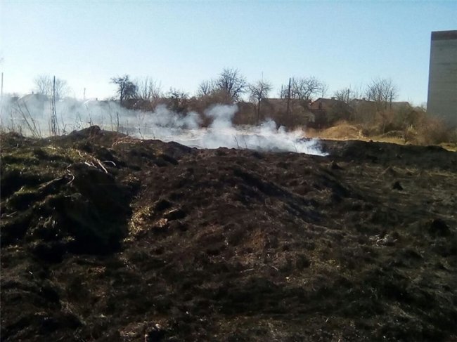 У Нововолинську невідомі влаштували пожежу біля трансформаторної будки. ФОТО