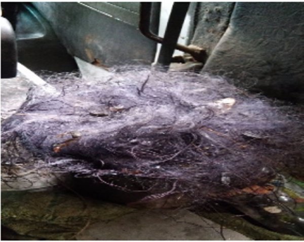 Волинські прикордонники затримали браконьєрів. ФОТО