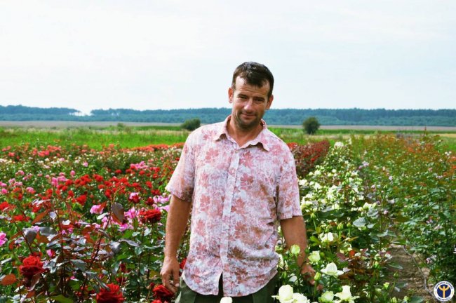 Садівник-самоук з Волині створив на своєму обійсті трояндовий рай