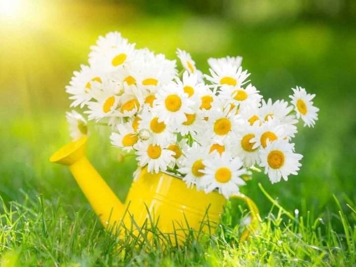 Погода в Луцьку та Волинській області на завтра, 27 червня