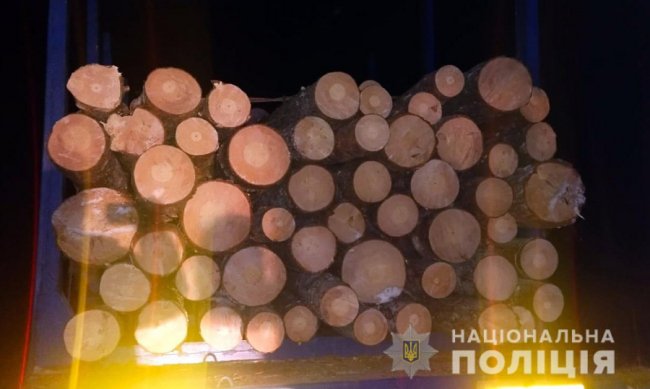 На Волині затримали водія з нелегальною деревиною. ФОТО
