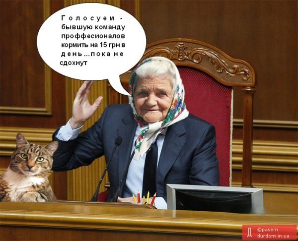 Бабуся і кіт: фотожабоманія триває. ФОТО