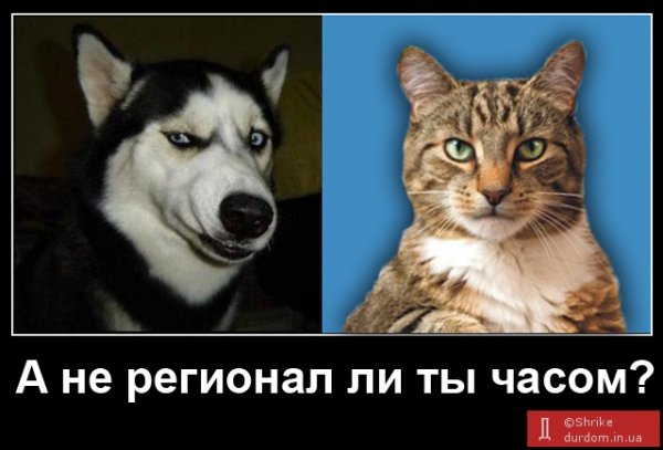 Бабуся і кіт: фотожабоманія триває. ФОТО