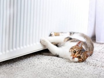 У волинському місті два дні не буде теплопостачання