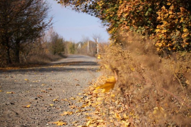 Осінні пейзажі Волинської височини: неймовірні фото