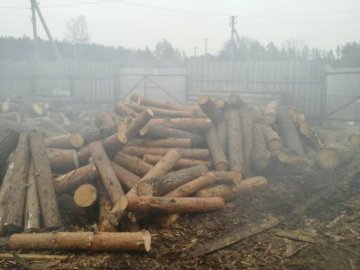 На Волині з приватної пилорами вилучили деревину без документів