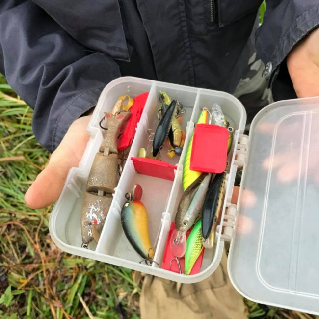 «Риболовля – це класно, якщо ви не провалюєтесь у боброву яму», – волинська журналістка