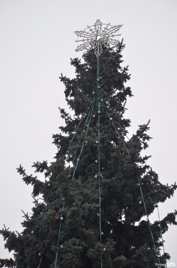 Почали прикрашати головну ялинку Луцька. ФОТО
