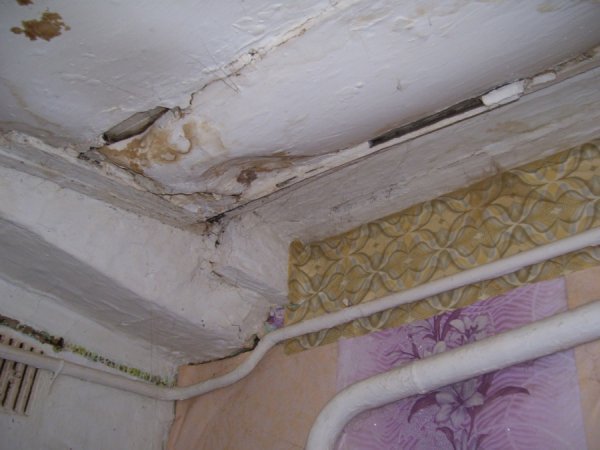 Хворий волинянин мешкає у жахливих умовах