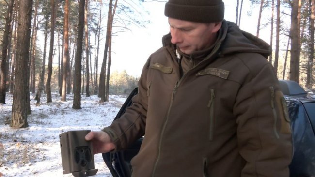 Майже 50 волинян покарають за вирубку новорічних дерев