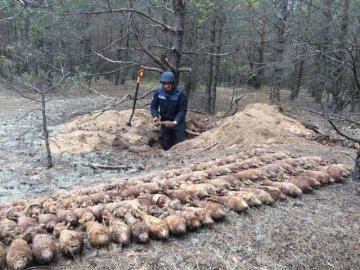 На Волині у лісі знайшли великий склад мінометних мін