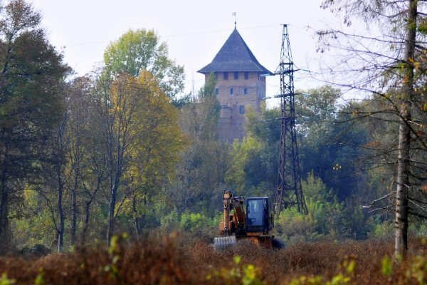 «Бабине літо» і «бебі-бум» Луцьку. ФОТО