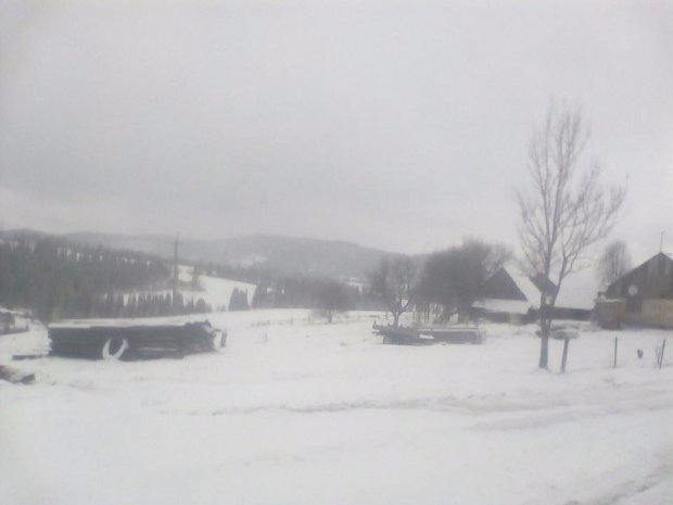 Частину України засипало снігом