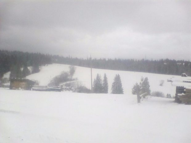 Частину України засипало снігом