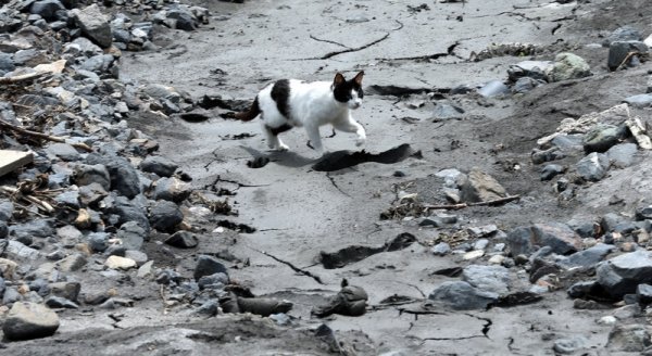 Сильні дощі в Європі змили дороги. ФОТО