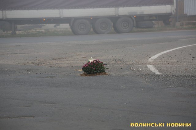 У Луцьку на «дубнівському кільці» у вибоїнах на дорозі висадили квіти