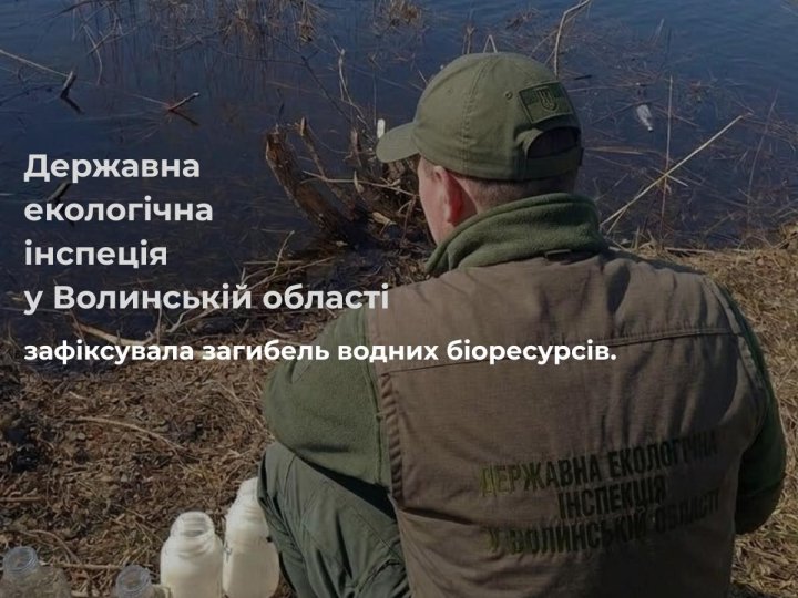 На Волині зафіксували загибель риби на водоймі