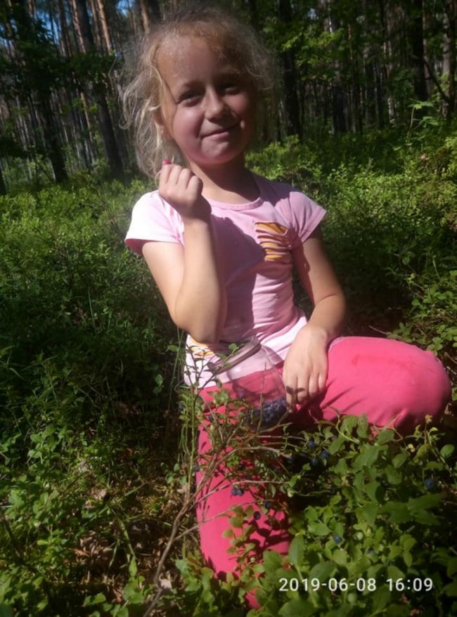 На Волині стартував сезон збору чорниці. ФОТО