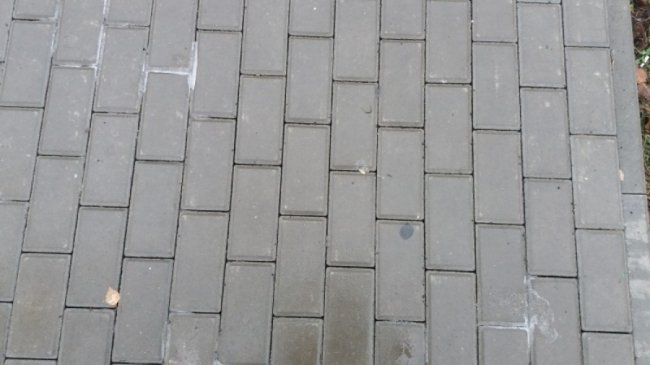 У Луцьку підприємець-новачок заробила майже півмільйона на «мутних» тендерах департаменту ЖКГ