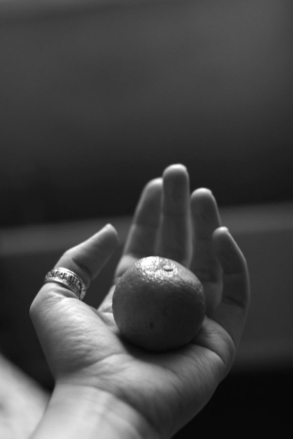 Фотовиставка Анни Лучії Лобос