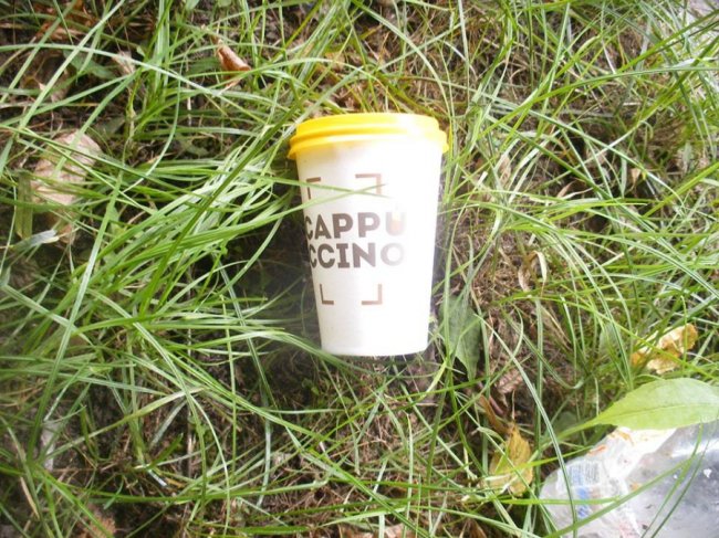 У Ковелі газон закидали сміттям і підгузками. ФОТО