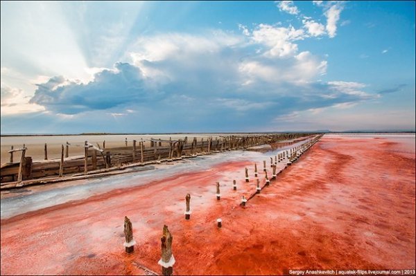 Соляні квіти та багряні ріки Криму. ФОТО