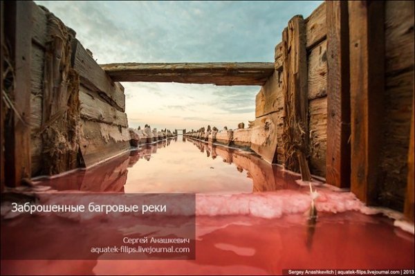 Соляні квіти та багряні ріки Криму. ФОТО