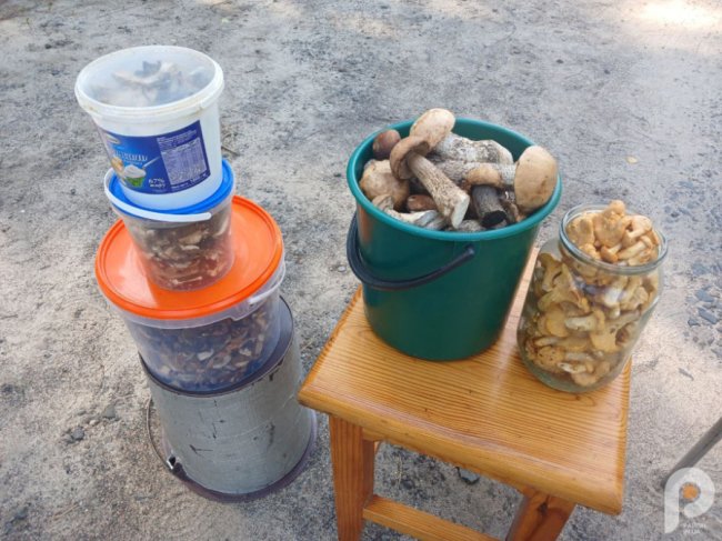 Скільки на Волині коштують ягоди та гриби. ФОТО