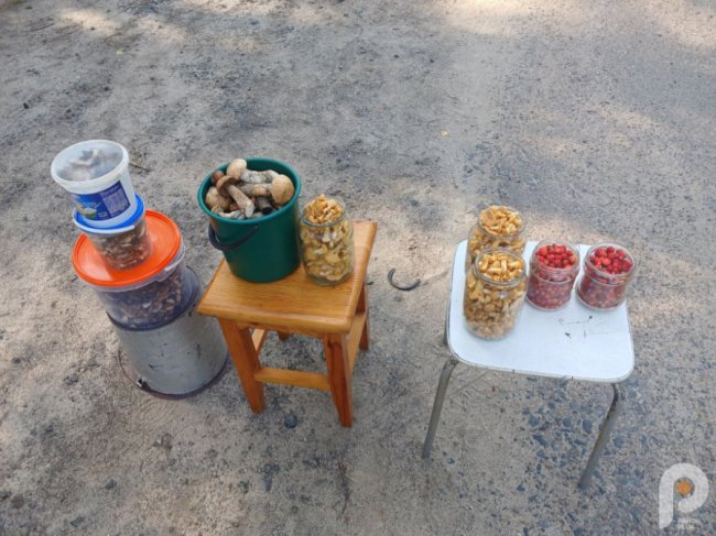 Скільки на Волині коштують ягоди та гриби. ФОТО