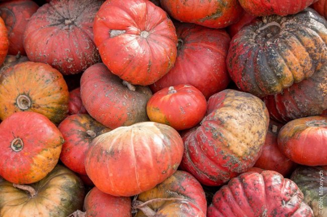 Луцький фотограф показав красу осені