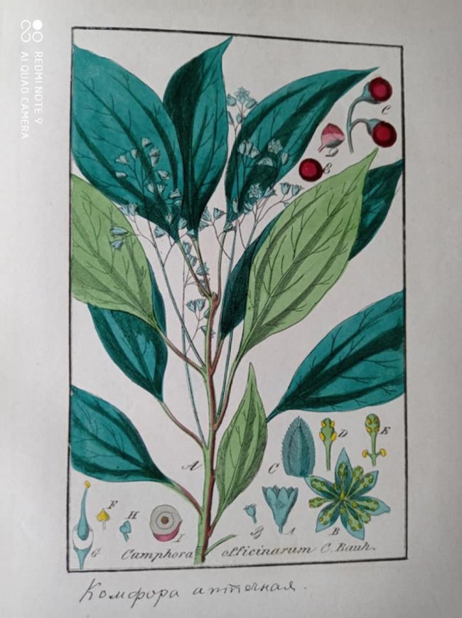 До волинського музею передали книгу, яку видали у 1855 році та 100-літній ілюстрований журнал. ФОТО